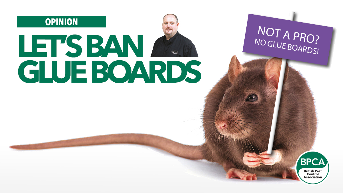 opinion-lets-ban-glueboards opinion-lets-ban-glueboards